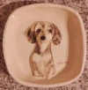 Plato de ceramica mascota con relieve