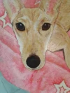 Retrato mascota acrilico sobre madera rectangular mediana