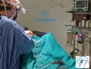Especialista en cirugía de pequeños animales